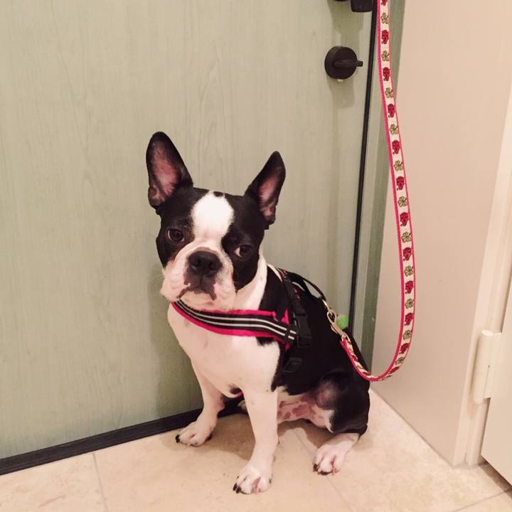 B5bdc3b2 2a7a 4bca bacc ea1975af339e