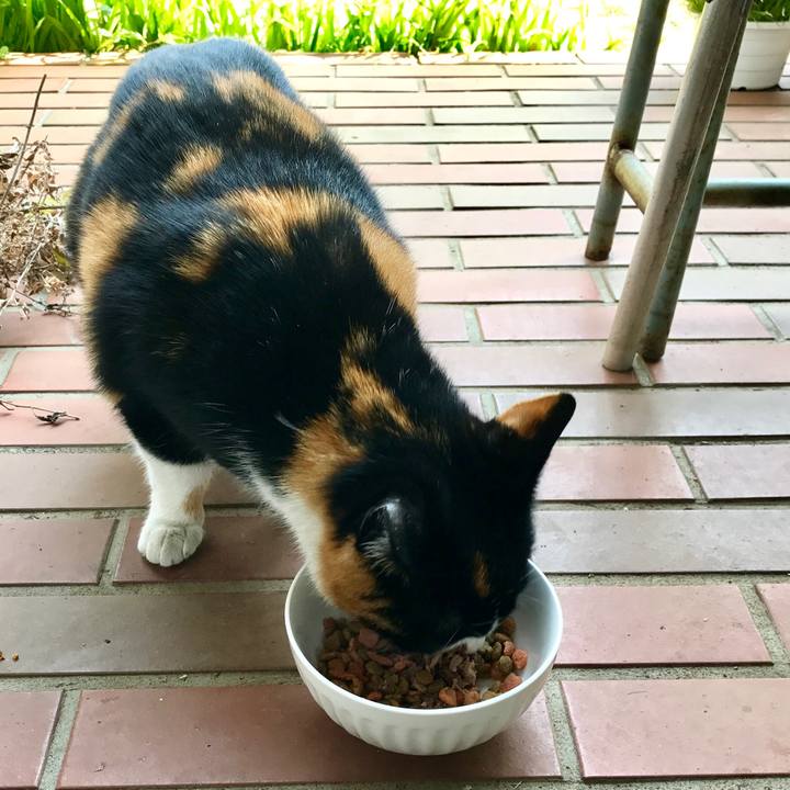 B5bdc3ca 4371 4bba bd34 09c5e2fc8614