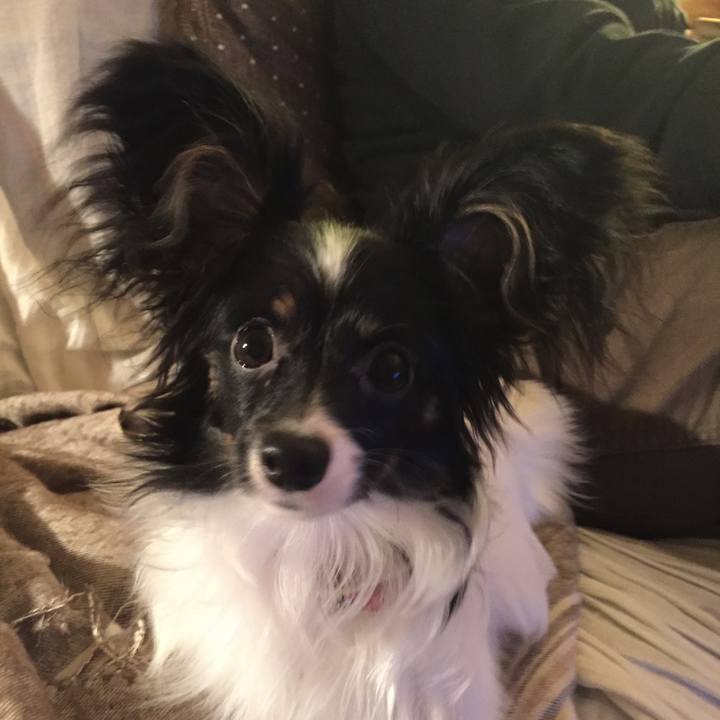 B5be8d37 efae 4ee0 9325 7ae16a734fc0