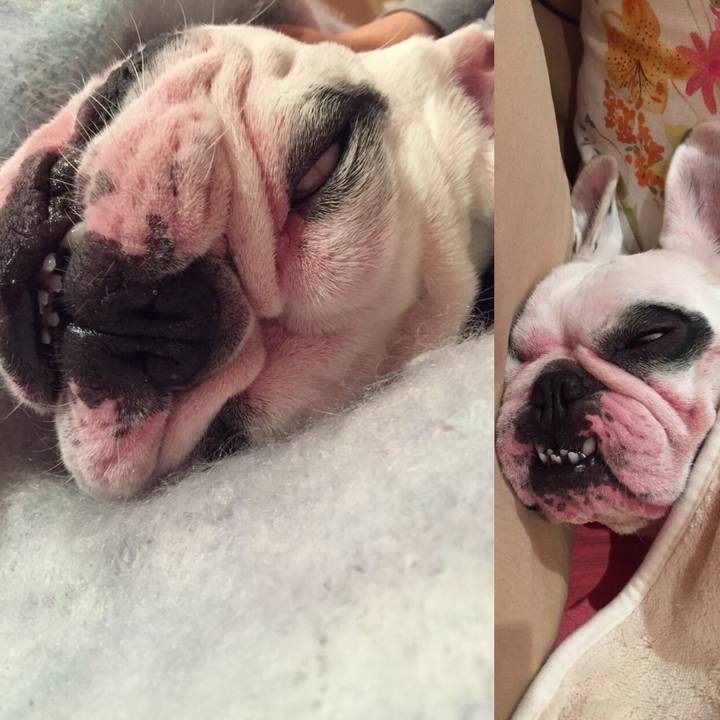 B5bf80b6 42dd 4d92 8e72 b6c49321a01f