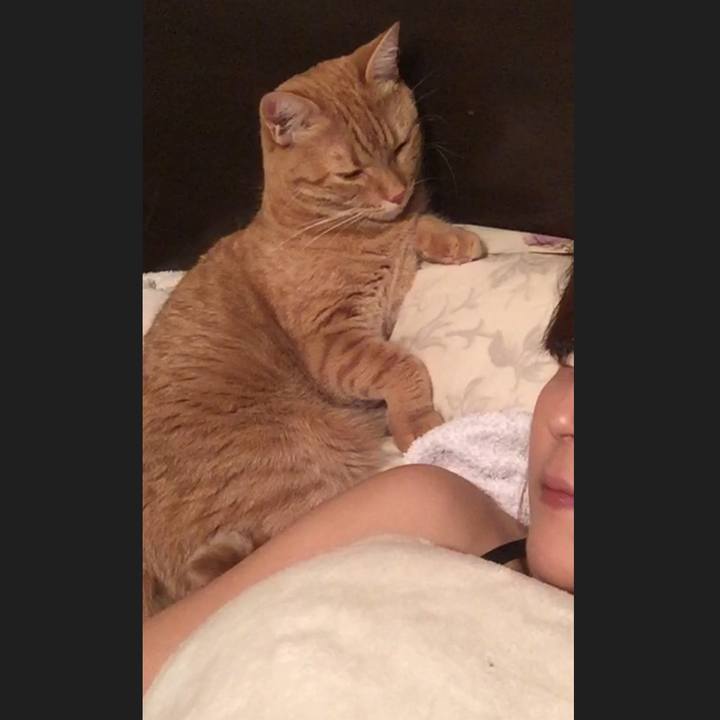 B5bf8eb8 329a 498c 9884 e4a257be0b4c