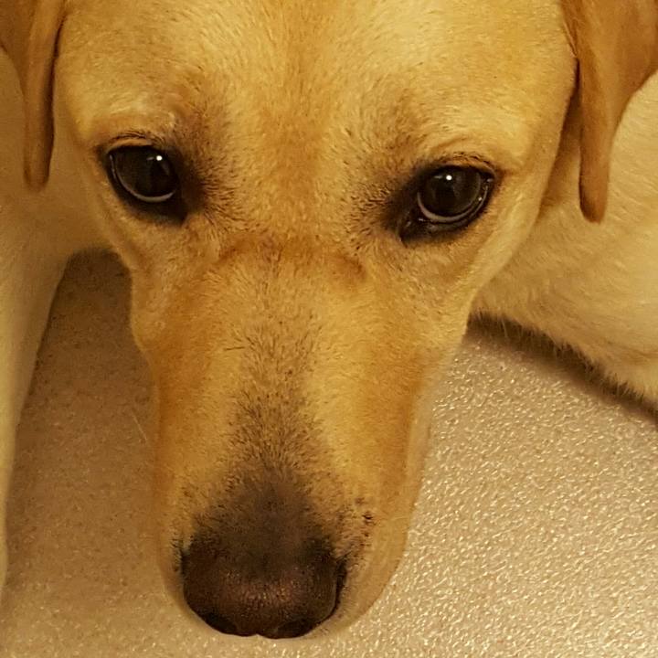 B5bfc3c0 f8a8 4718 a1ba eb5f4eedb041