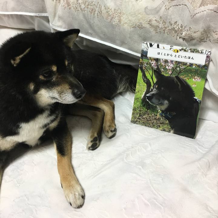 B5c08ca3 806c 44e6 a12c 0c55ece2da96