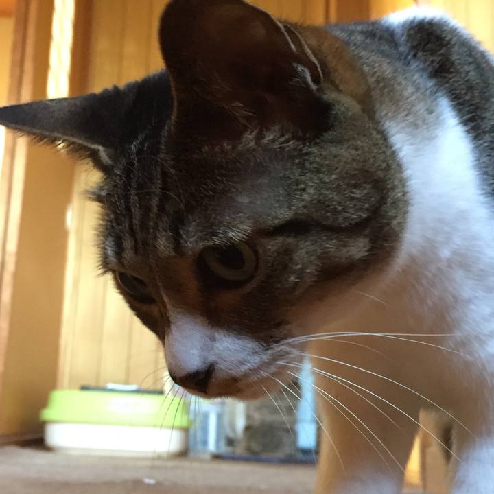 B5c1cd81 8204 4e80 9cd9 ecd3ae523606