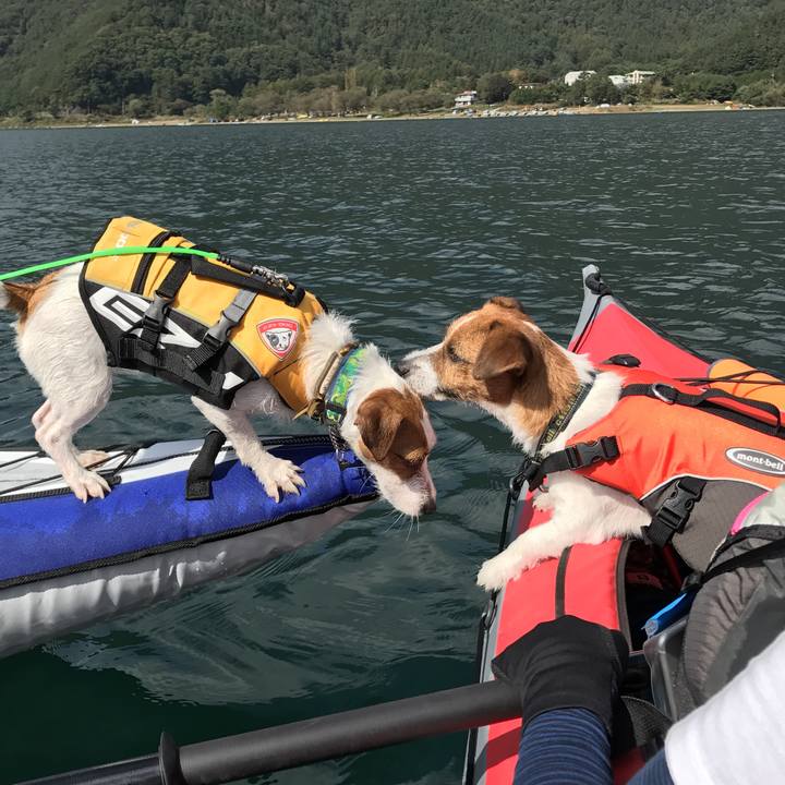 B5c36cfe db87 47ad b1aa 56e134908297