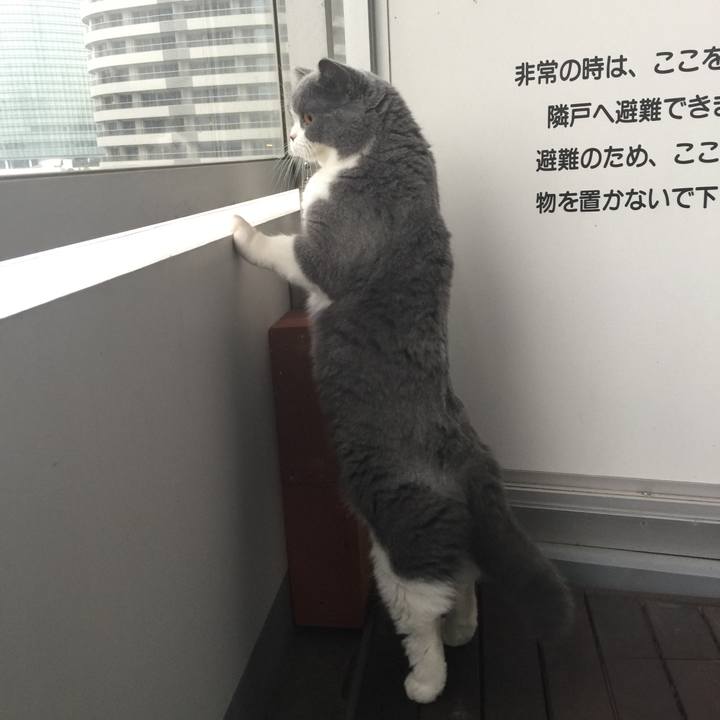 B5c42b82 4543 41ea 9e7b fef9baf4c369