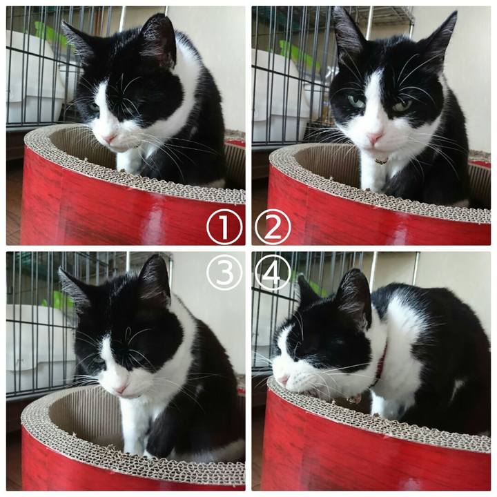 B5c444b0 b103 486c a446 3501d75ce3cb