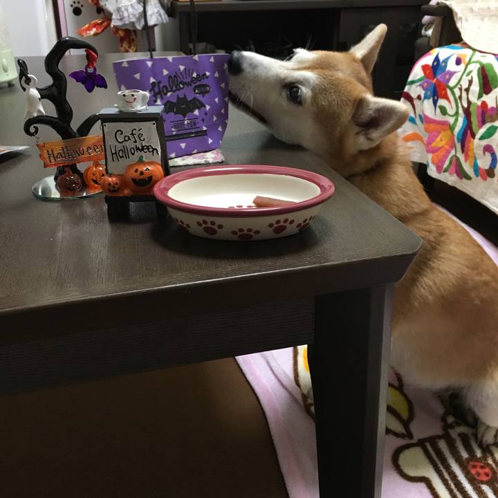 B5c49360 d3ce 4422 955d 592a06aa8bc2