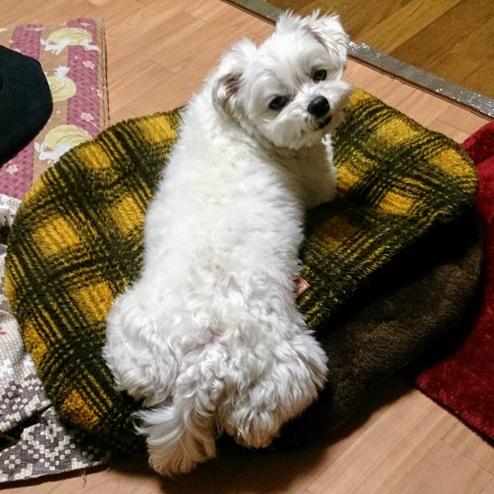 B5c53590 8fc1 4552 b7e0 7dd51389339e