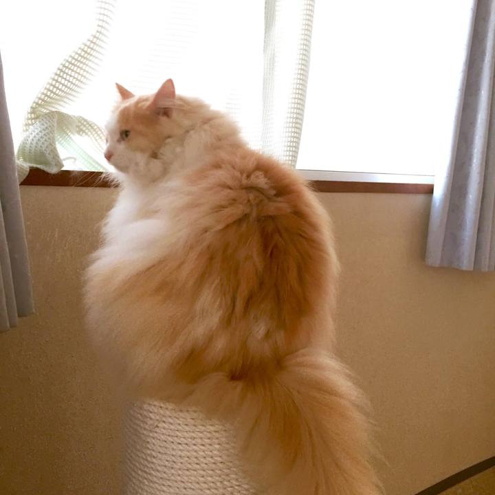 B5c5ab1c 115f 4d53 bf9a 5d4c5a537a52