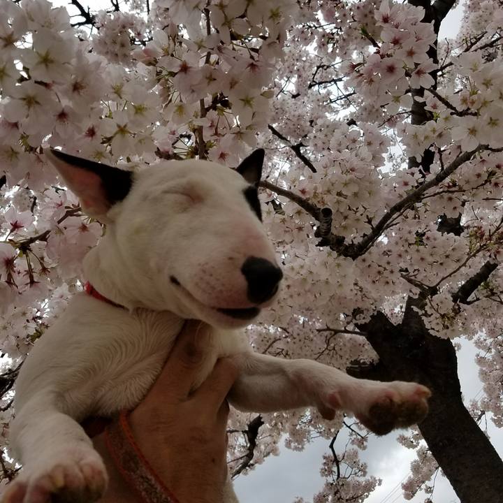 B5c620bd 0770 42e0 b293 a5b3268c206f