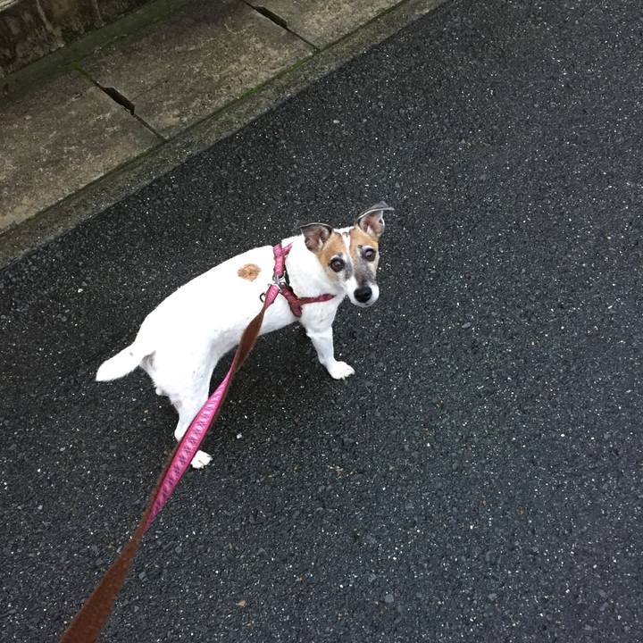 B5c6d984 f890 493f 89ac 3dbe4959bb70