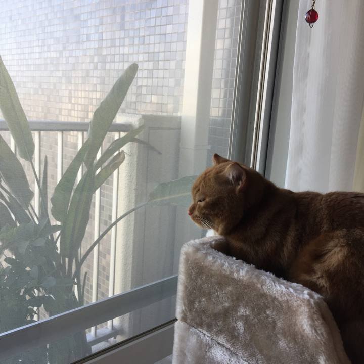 B5c7b9d7 14cc 40f7 a90a 02779a420260