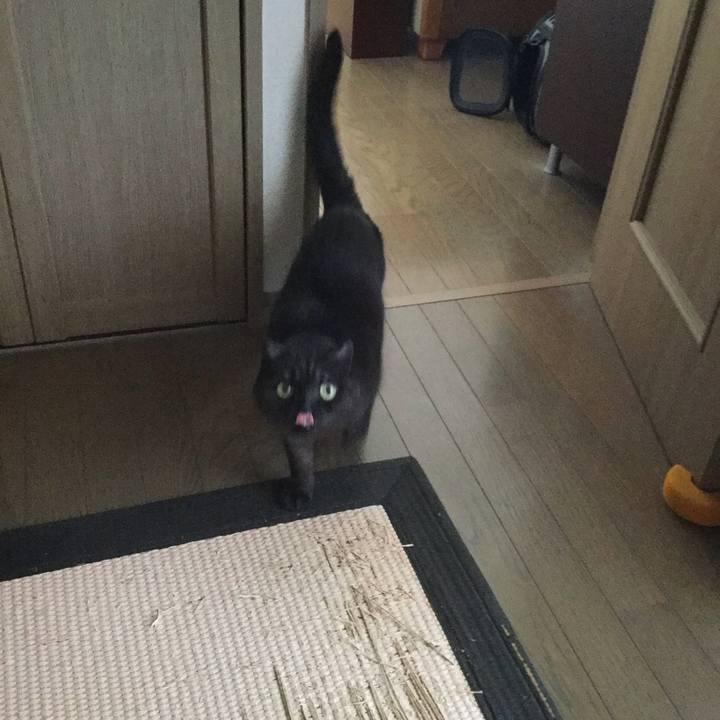 B5c80dfa a1c4 402e 8d37 5b521e1d0ebd