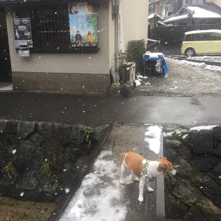 B5c90393 2c4a 48eb 95a9 ca602a4d617e