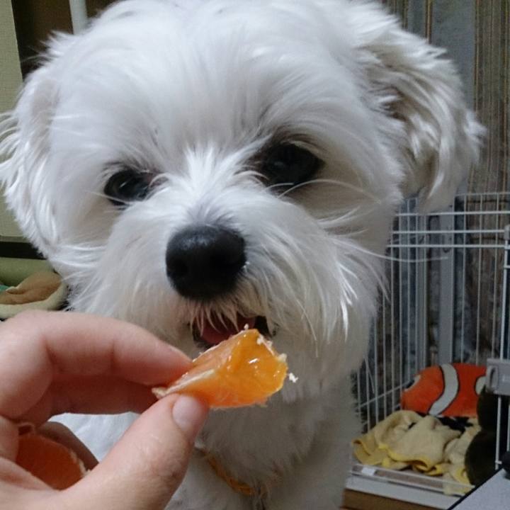 B5ca2523 bd3d 423d 9068 0a6d4306df51