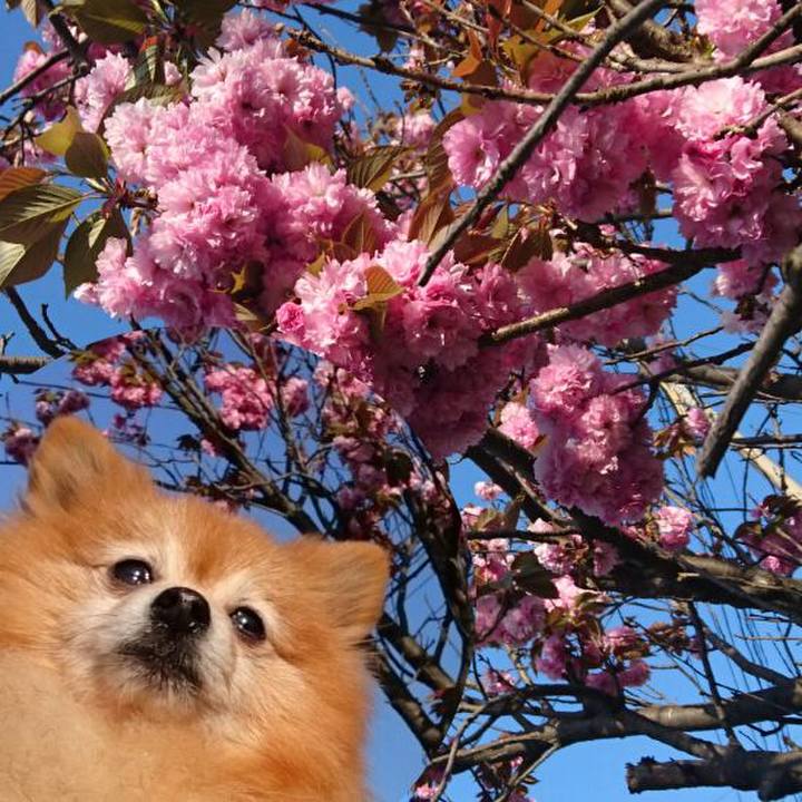 B5cb1214 c854 418f bc79 4ed7fb9e0f21