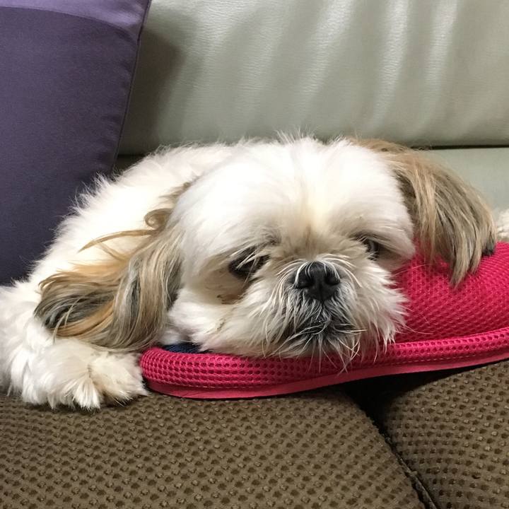 B5cb2c0e 390c 4196 8173 93ca08016d76