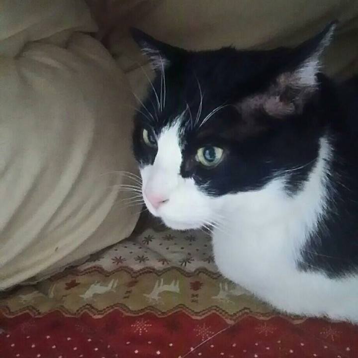 B5cb33a0 d6cd 494b b087 6381813c6907