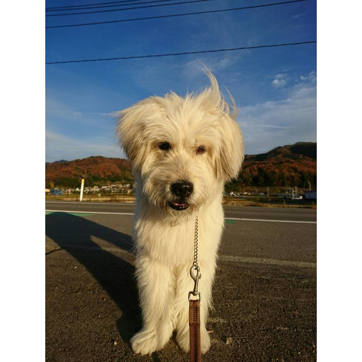 B5cb6834 932e 4977 9edf 9699e71f3993