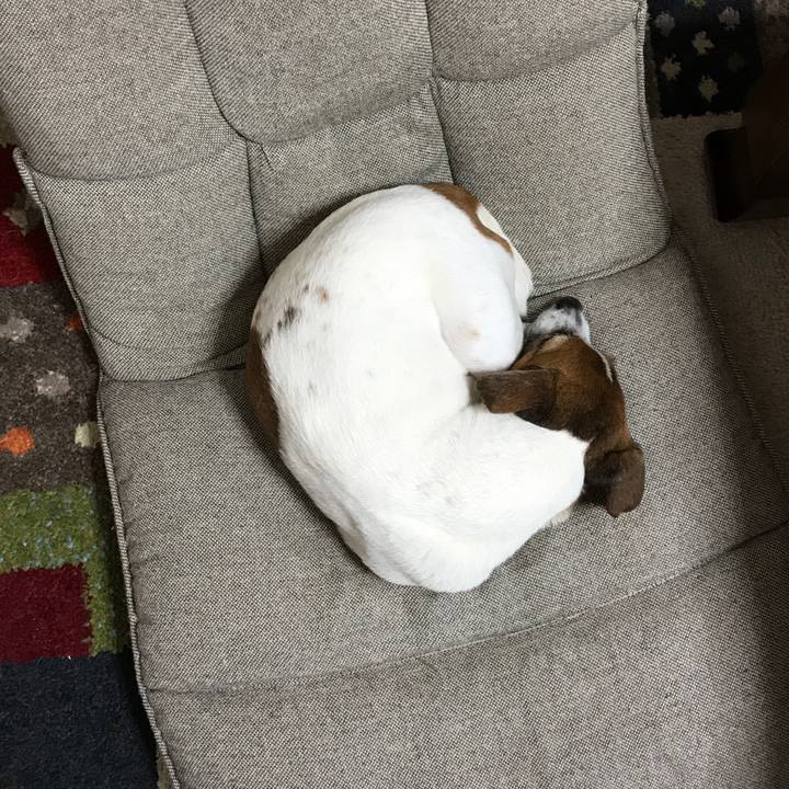 B5cb7094 d912 4eb4 9105 44b57483fc92