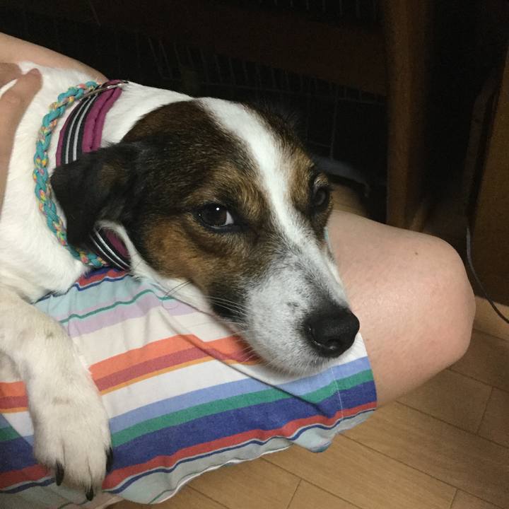 B5cb7612 57ac 4c42 a386 bbc73a4ef700