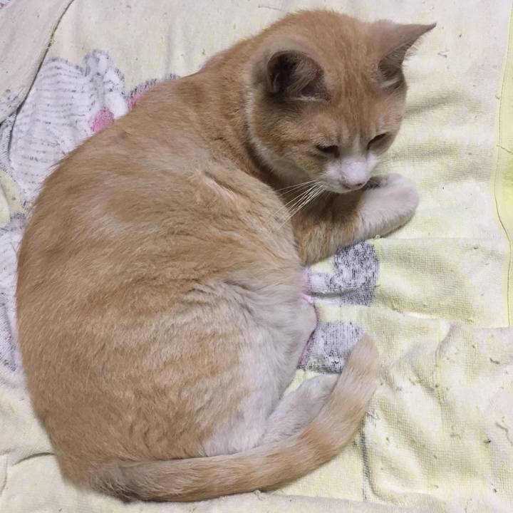 B5cb86b8 5ef4 47dc 997a 8f37e484bc08