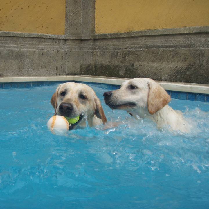 B5cb8b9b 8df3 4258 8ac2 ebcc5de955d6