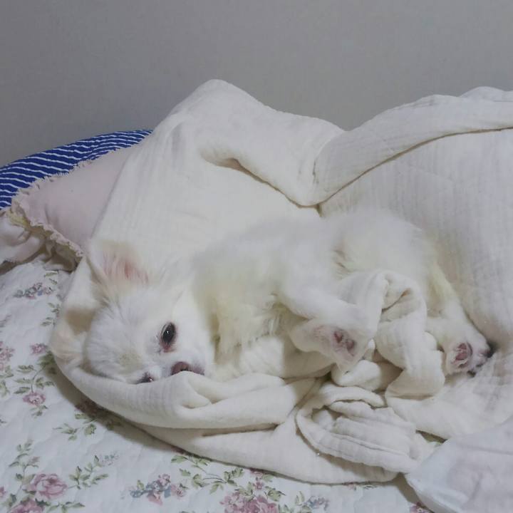 B5cc0c9a 5726 42ca 91c9 a50c354d3975