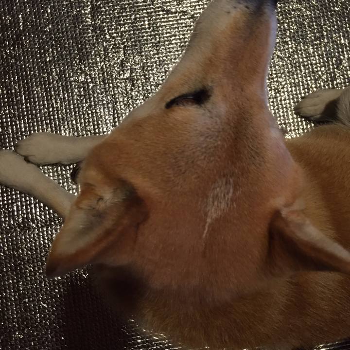 B5cc5d42 a31b 426a 8aed 905c45dfb711