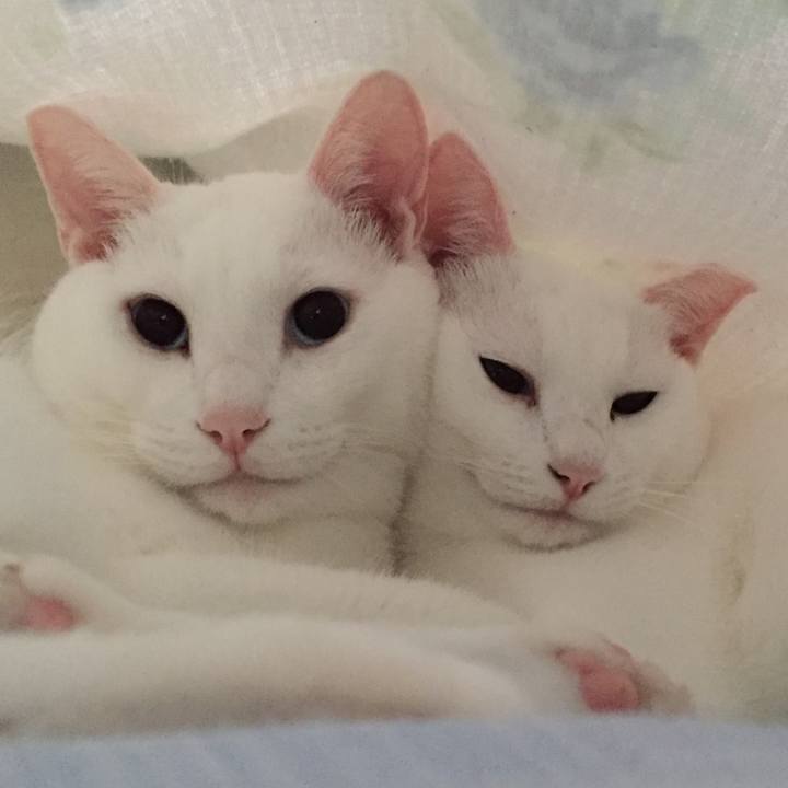 B5cd9291 6930 4864 89e0 65997d000134