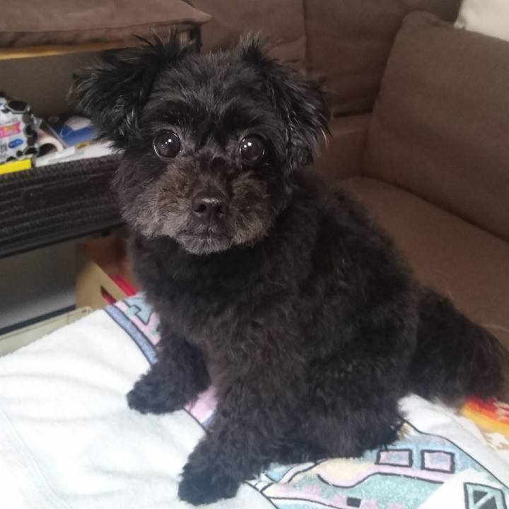 B5cdcfe4 836c 4e99 be14 ea6ac24076c1