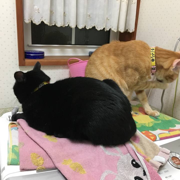 B5cde073 9513 400f afc9 7817fad34cf8