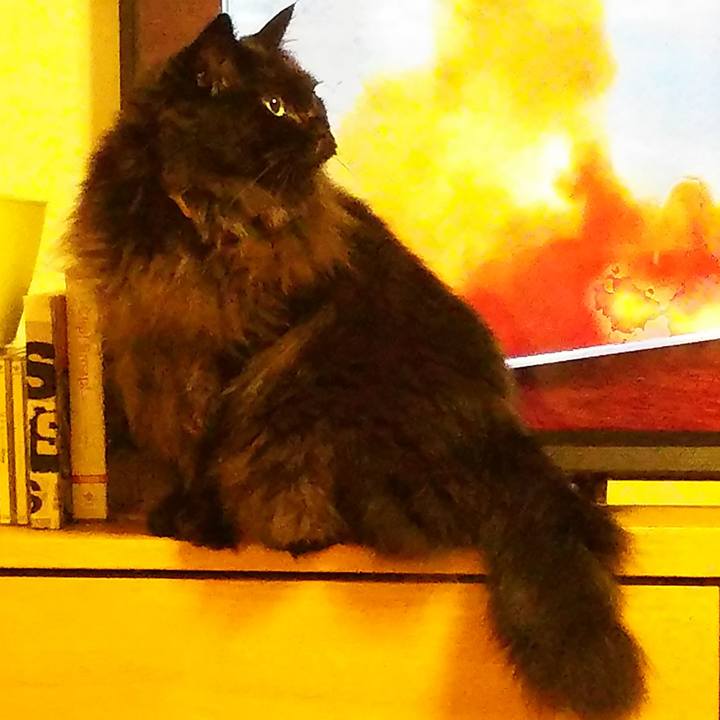 B5cde238 74e8 47af b9ac 70bd3ca18dd9