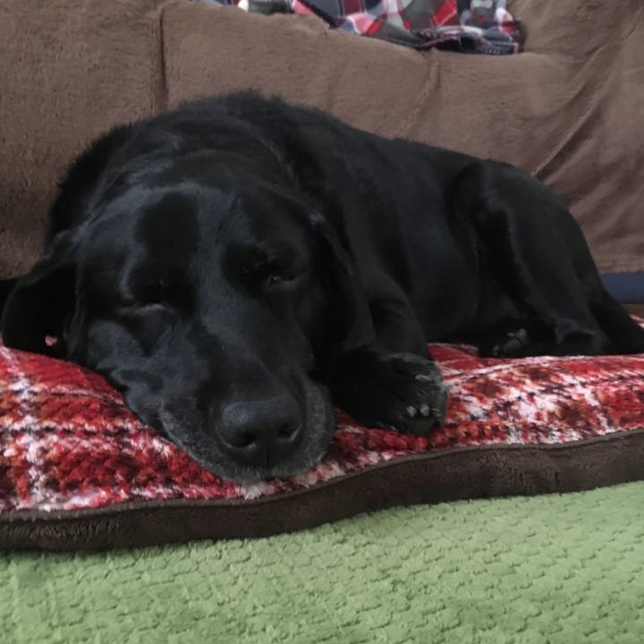 B5ce593a f5bc 481b 853b 0853bba359c4