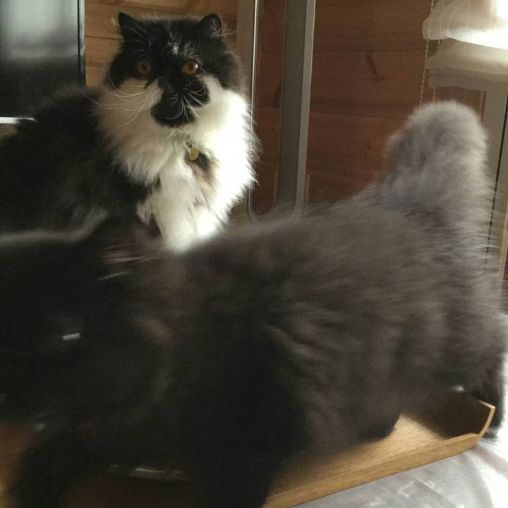 B5ceb60c 7e08 4d74 81f5 353cde575358