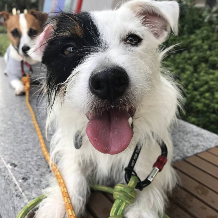 B5cf5ed1 805d 40c8 9e8f 1818d8c4483b