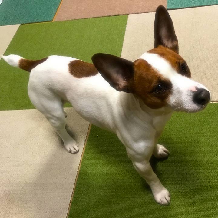 B5cf7ca6 6e42 4fc2 aa8f 25cf1688182d