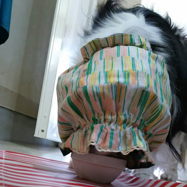 B5cfc3a5 9402 4547 ab24 5d657dad8660