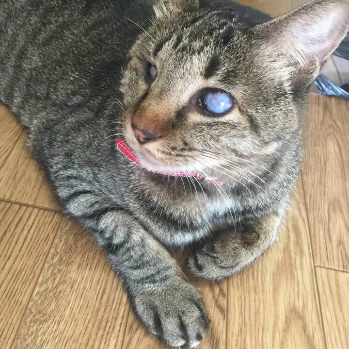 B5d053ef 6e0b 4581 867b d2841c99d3f6