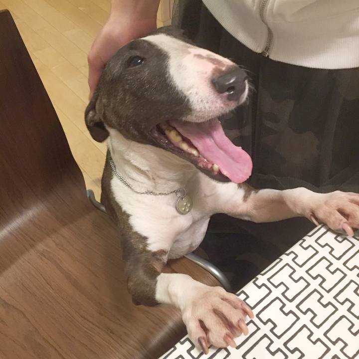 B5d1ae07 1ed5 4de9 92cb 3757b70eec2e