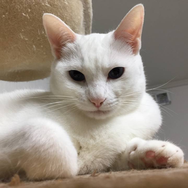 B5d2c42f b051 4bd5 8d3f f50b31921d38