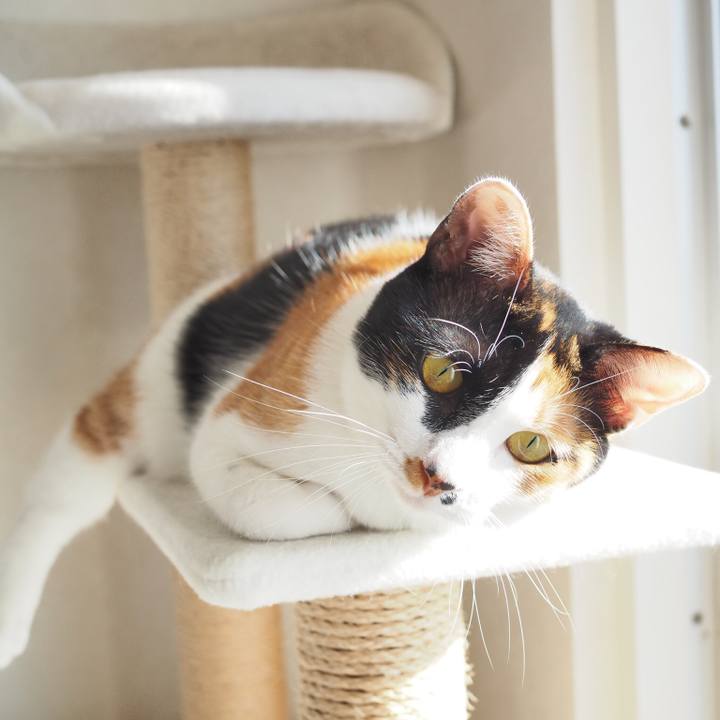 B5d30cd7 bb60 45d6 9a4c c8095723f75a