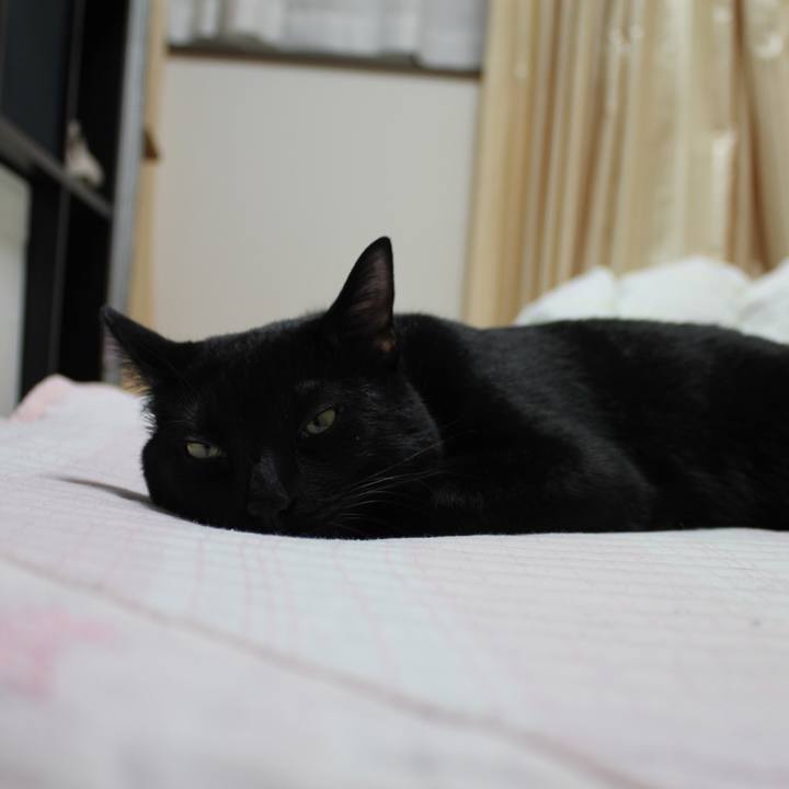 B5d36201 595d 4a36 ac06 56192e3ac020