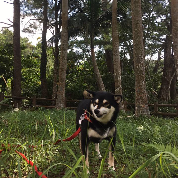 B5d37907 18ee 4c1f 902e 12be2671013a