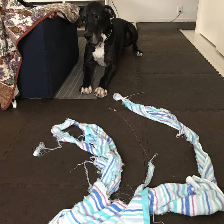 B5d52a33 a76f 4f52 a8e2 c2c4eec1e935