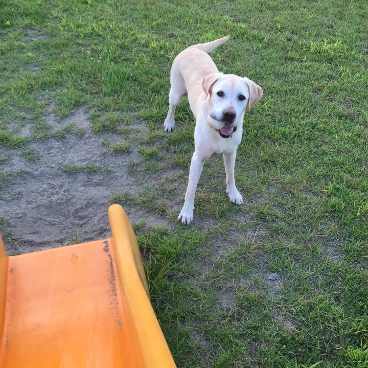 B5d576a6 2239 4c0a 993c f5acfb9692c3