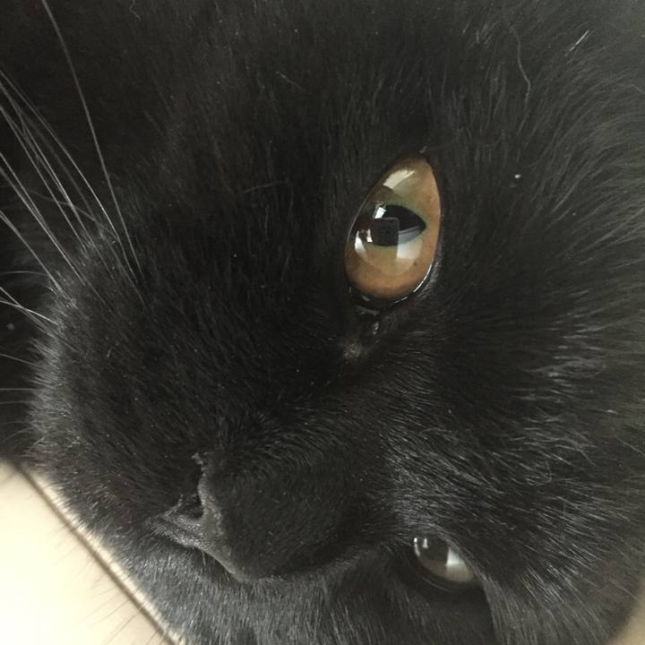 B5d58000 4533 4f95 a62f 49464a5287e9