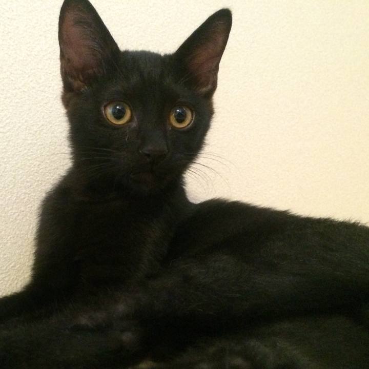 B5d5c7c6 1c25 48f2 859a b9a418901626