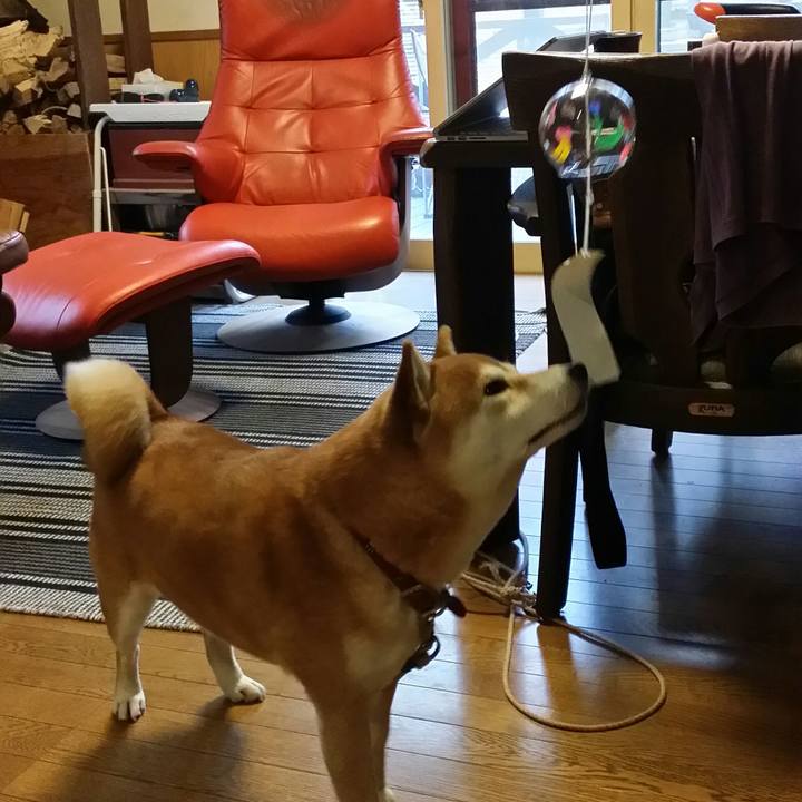 B5d62cd5 f385 411e 85c6 9646ffca84c4